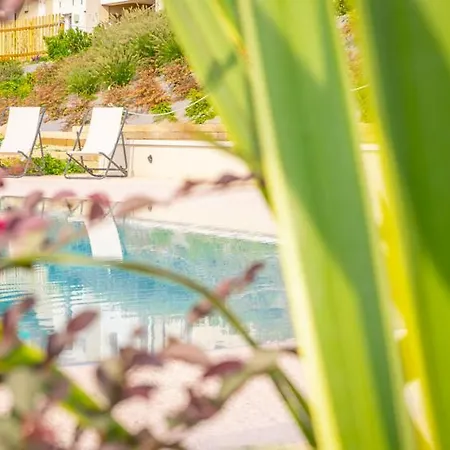 Le Bianchette E Fattoria Didattica * Sommacampagna